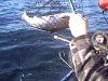 CLIP0011-003.jpg