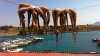 octopus-hanging_wide-5395be2e9ece462594ebf19080eb9485be0cb64e-s40-c85.jpg