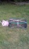 prawn trap 001.jpg