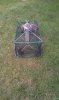 prawn trap 002.jpg