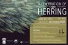 hawksworth-cel-of-herring-web.jpg