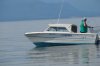 fishing today 008.jpg