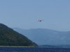 IMG_8080.jpg