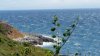 20150720_131459.jpg