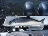 on-board-fish-cleaning-station.jpg