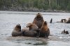 DSC_7469.jpg