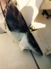 FullSizeRender (37).jpg