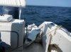 DSCF1699.jpg