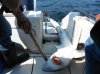 DSCF1704.jpg