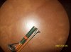 100_0510.jpg