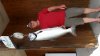 20150825_143147.jpg