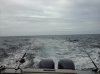 summer 2015 and tuna fishing 331.jpg