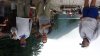 20150806_174157.jpg