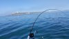 20160409_130905.jpg