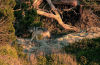 facebook-20160126-155050.png