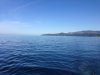 IMG_6238.JPG