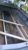 WP_20160606_001.jpg