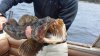 20160612_134506.jpg