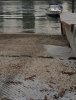 AdobePhotoshopExpress_05b546d71ba7495aabe4d6f198b90181.jpg