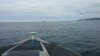 20160625_094532.jpg
