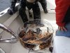 DSC00900.JPG