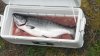 20160630_205510.jpg