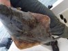 20160706_110407.jpg