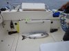 DSC00904.JPG