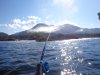 DSC00909.JPG