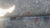 20160730_131931.jpg
