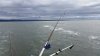 20160711_131517.jpg