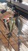20160804_155625.jpg