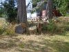 DSC00916.JPG