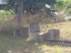 DSC00917.JPG