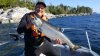 20160810_172943.jpg