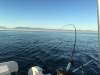 Summer 2016 AUG 4 002.JPG