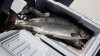 2016 070 28 31 lb Chinook Barkeley Sound.JPG