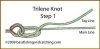 xtrileneknot1-3.jpg.pagespeed.ic.HFWUhh83uy.jpg