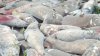 20140217_105845.jpg
