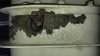 20161119_154222.jpg
