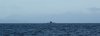 P6030007_2.jpg