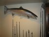 user2404_pic5591_1324146289[1].jpg