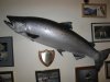 user2404_pic5590_1324146289[1].jpg