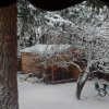 shed.jpg