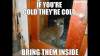 IMG_1729.PNG