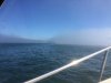 ferry (Large).JPG
