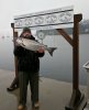 IMG_20170117_151835.jpg