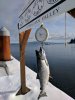 IMG_20170207_141016.jpg