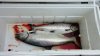 20170220_122751.jpg