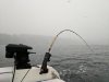 IMG_20170227_092035.jpg